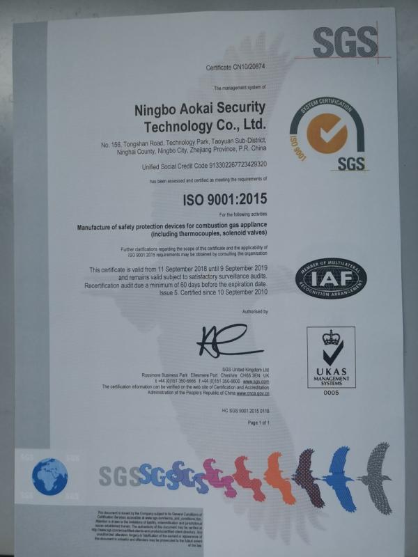 ISO9001 - Ningbo Aokai Security Technology Co., Ltd.