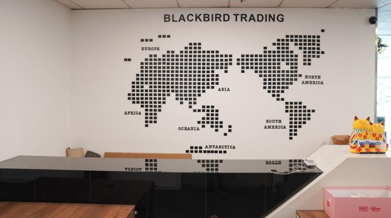 Verified China supplier - Shenzhen Blackbird Trading Co., Ltd.