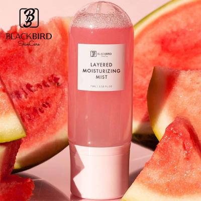 China Korean New Arrival Layered Toner OEM/ODM Facial Spray Moisturizing Face Mist Private Label Glow Ultra-fine Toner for sale