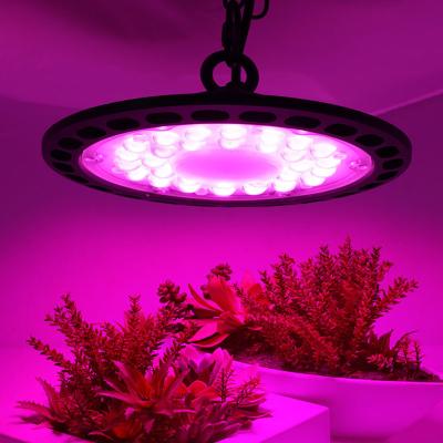 China 100 (lm/W) USA 2835 veg flower cordless led grow light power supply for growing vegetables for sale