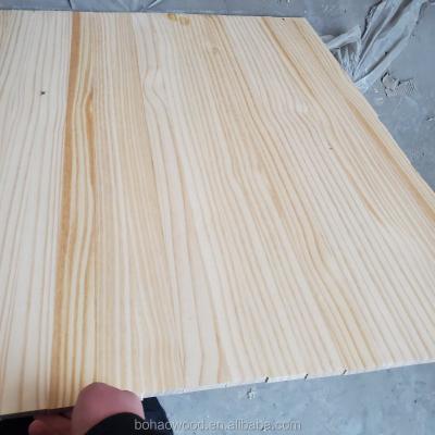 China Stable AB Grade Paulownia Pine Timber Raw Materials Supplier for sale