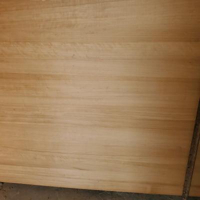 China Decoration hot sale poplar wood logs solid wood panels charred poplar wood use for furniture for sale