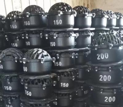 China DN150 DN200 cast iron flanged foot valve for sale