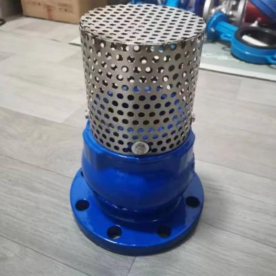 China GGG50 PN10/16 cast iron foot valve for sale