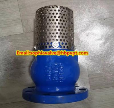 China Base GGG50 DIN flanged foot valve made in China for sale