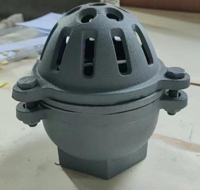 China PN10 resilient seal cast iron threaded foot valve for sale