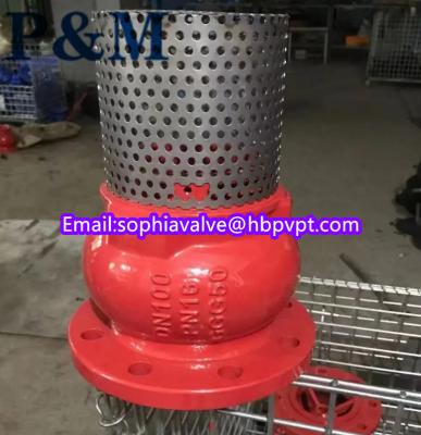 China dn100 pn16 GGG50 foot valve stainless steel screen for sale