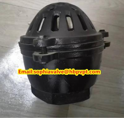 China Pawofuou export BS21 cast iron foot valve from China for sale