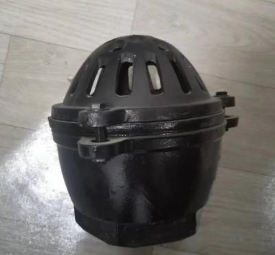 China foot valve with material cast iron GG20 BS21 PN16 for sale