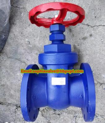 China high quality BS PN10/16 cast iron gate valve for sale