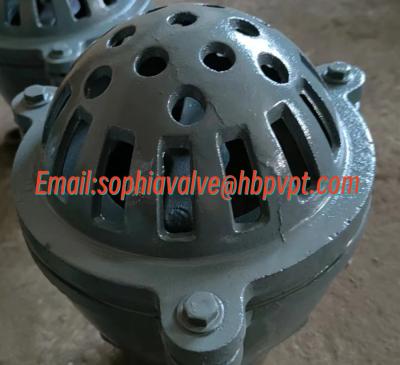 China BS21 PN10 cast iron threaded foot valve for sale