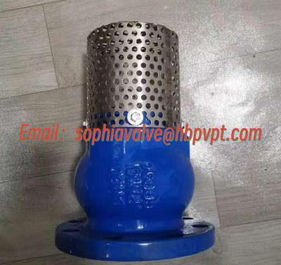 China manufacture foot valve PN16 GGG50 cast iron material for sale