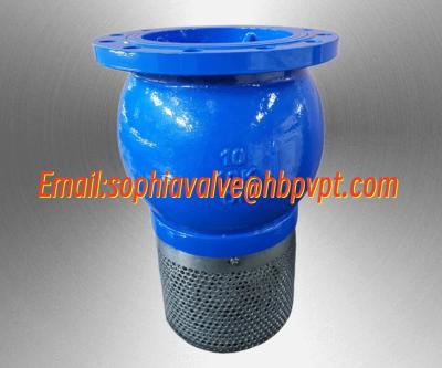 China 10 inch 10K ductile iron flanged foot valve for sale