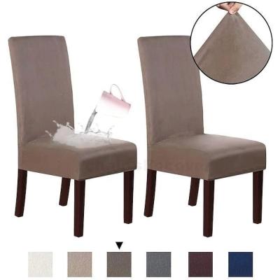 China Durable Stylish Machine Washable Washable Suede Water Repellent Furniture Protector Dining Chair Cover Stretch Chair Seat Cover For Dining Room Party for sale