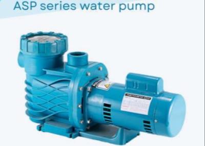 Cina ASP100 Swimming Pool Water Pumps For Swimming Pool Using in vendita