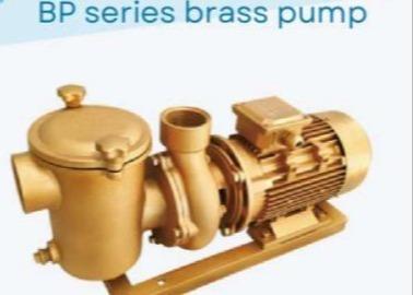 China BP30 Swimming Pool Water Pumps For Swimming Pool Te koop