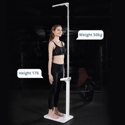 China Fitness Scale & New 50 gram LCD display OEM height measure item composition ultrasonic body fat analyzer height and weight scale fitness scale &height measurement for sale