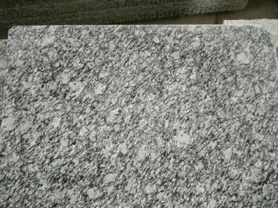 China Guangdong Silver Grey Granite Tiles Sea Wave Flower Granite Floor Tiles Granite Slabs for sale