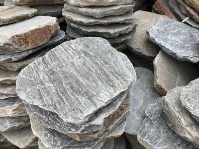 China Oyster Quartzite Round Stepping Stones,Natural Stone Pavers,Garden Stepping Pavement,Landscaping Stepping Paving Stone for sale