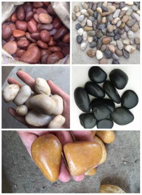 China Polished White Pebble Stones,White Cobble Stones,White River Stones,Cobble River Pebbles,Landscaping Pebbles for sale