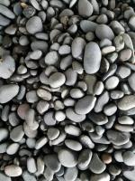China Water Washed Black Pebble Stones,Black Cobble Stones,Black River Stones,Cobble River Pebbles,Landscaping Pebbles à venda