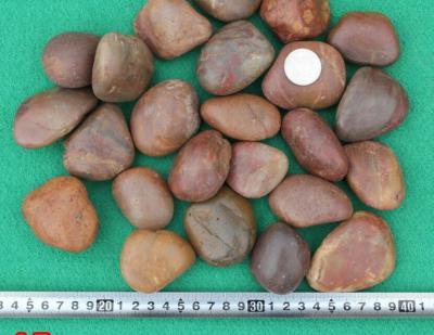 China Polished Pebble Stones,Red Cobble Stones,Red River Stones,Cobble River Pebbles,Landscaping Pebbles for sale