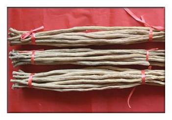 China RADIX ACHYRANTHIS BIDENTATAE,Twotoothed Achyranthes Root for sale