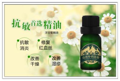 China Chamomile oil, Chamomile essentail oil for sale