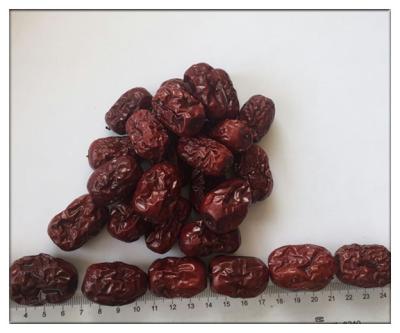 China Zizyphus jujuba,Chinese date(Red date),FRUCTUS JUJUBAE DATE for sale