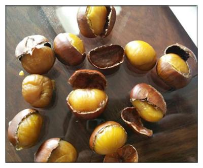 China Fresh Chestnuts,Fried chestnuts, Organic Raw Fresh Chestnut for sale