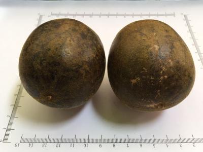 China Corsvenor Momordica Fruit,Grosvenor Momordica Fruit,Fructus Momordicae for sale