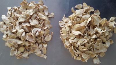 China Fresh Ginger,Dry Ginger,Zingiber officinale Roscoe for sale