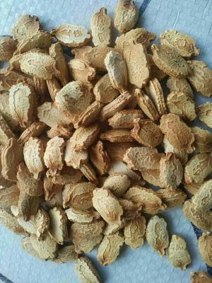 China Bitter melon seeds for sale