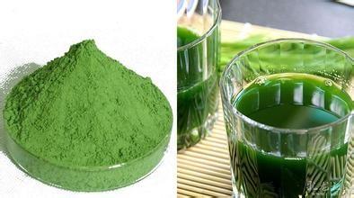 China 100% natural Wheat grass powder,Organic Wheat Grass powder,High quality Wheatgrass Powder for sale