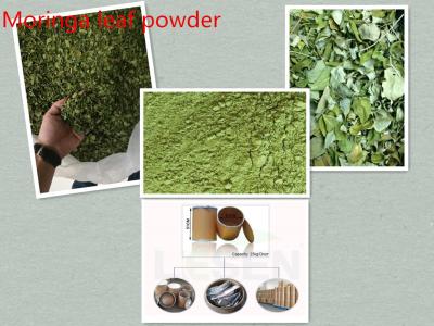 China 100% Pure & High quality Moringa leaf powder;Organic Moringa seed powder; for sale