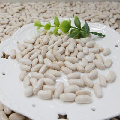 China White Kidney beans,High quality Kidney beans for sale