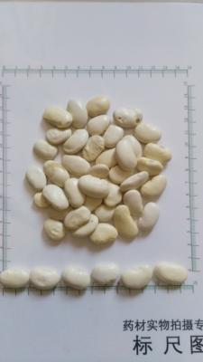 China White kidney beans extract ,Phaseolin 1%, 2% for sale