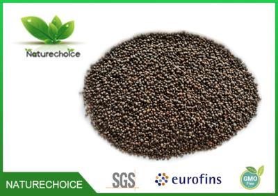 China Perilla seed FRUCTUS PERILLAE for sale