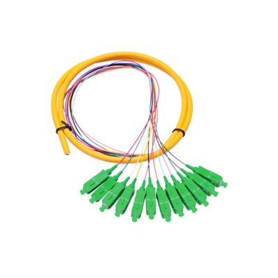 China FTTH SC/APC 12 Strand Single Mode Fiber Optic Pigtail 1.5m for sale