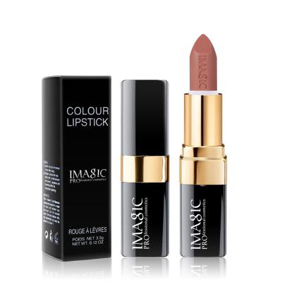 China Private Label 24*2.4*8.1 Colors Matte Cream Lip Stick Lipstick for sale