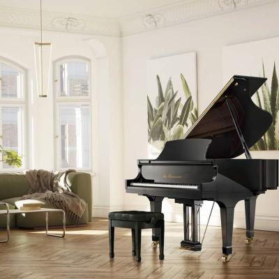 China Mechanical Royal Luxury Custom Bespoke 88 Grand Piano Key Mechanical Acoustic Piano for sale