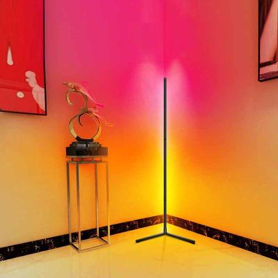 China Modern Dreamy Color Corner Floor Light DIY Floor Stand Dimmable Remote Control Detachable Light for sale