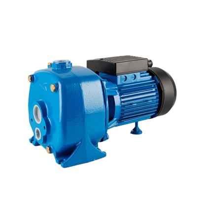 China Good Deep Water Pump Electric Deep Well Pumps for Family Homes for sale