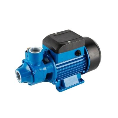 China Automotive Industry 0.5 Hp QB60 Clean Water Pump Electric Garden Tools, for sale