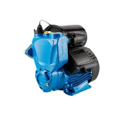 China AUJPM family homes series automatic water pump bomba de agua automatic centrifugal pump for sale