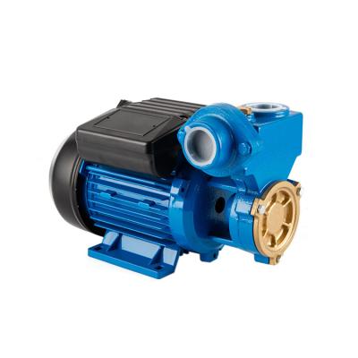 China WZ Series Family Houses Water Pump Peripheral Vortex Pumps Irrigation Pumps Electric Water Circulation Pump for sale