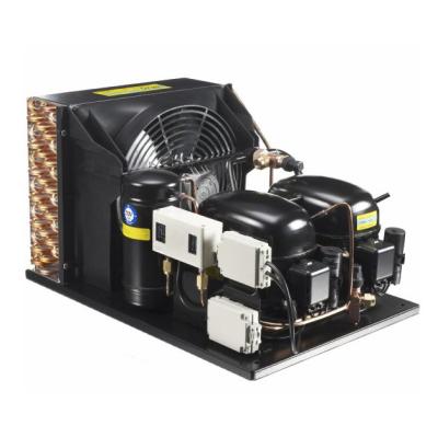 China Refrigeration Parts Mini Condensing Unit 4hp LBP Double Condensing Units for sale