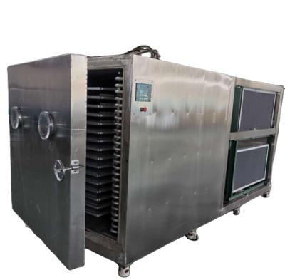 China High Quality Food Processing Food Freeze Dryer / Fruit Freeze Drying Machine For Sale for sale