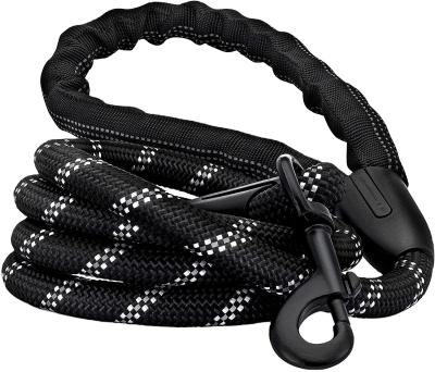 China Large Improved Strong Nylon Braided Climbing Dog Rope Reflective Version Leather Braided Leash for sale