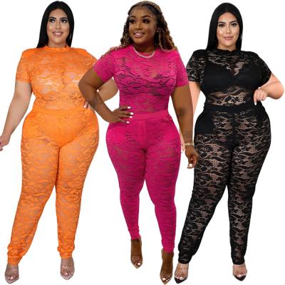 China Viable summer of 2022 new arrivals plus size women's clothing see through nightclub equipment lace pants two-piece set for sale